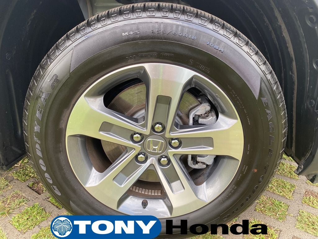 2025 Honda Pilot EX-L